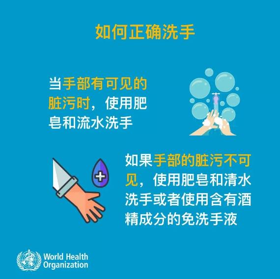 一文读懂