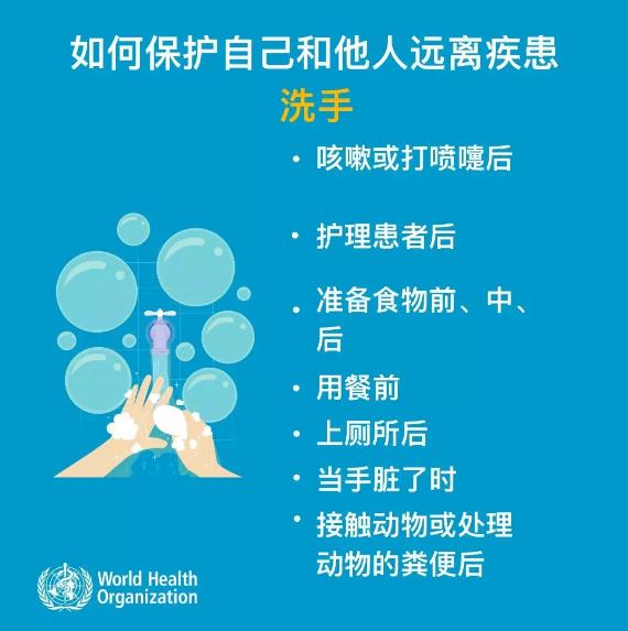 一文读懂