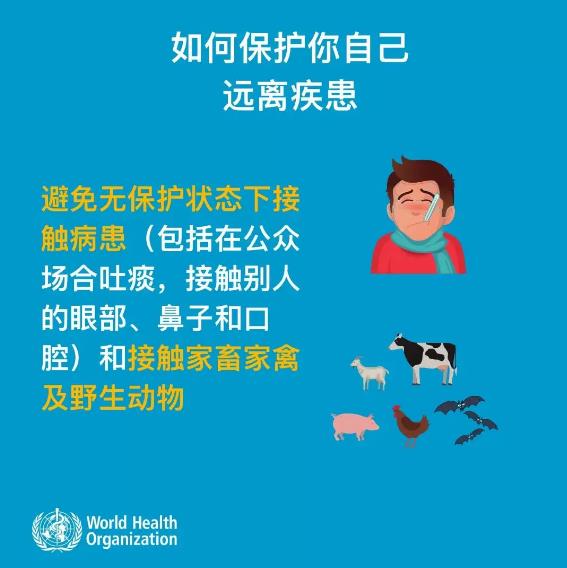 一文读懂
