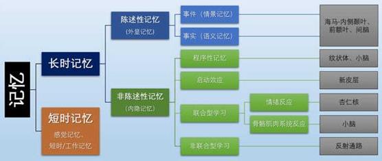 为什么你不记得婴幼儿时期发生的事情?记忆会一直保留到离开人世吗