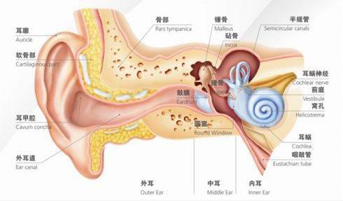刺啦!听到了粉笔划过黑板的声音 为什么会让你抓狂?