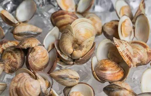 这六类食物吃多了易得肾结石!