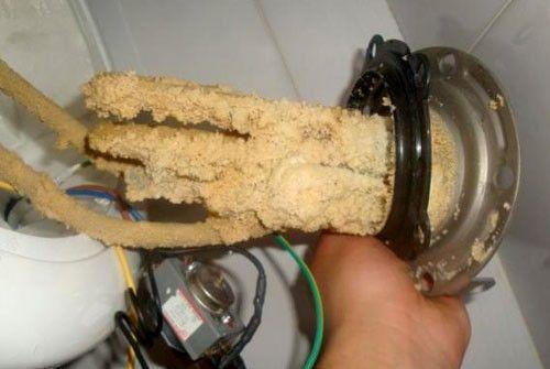 土豆发芽不能吃了就得扔掉?四种巧用发芽土豆的实用小妙招