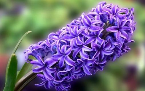 这样做你的生活更美妙!