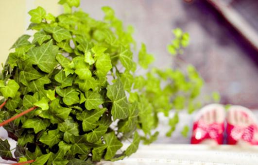 学会这些妙招让你凉爽过一夏!