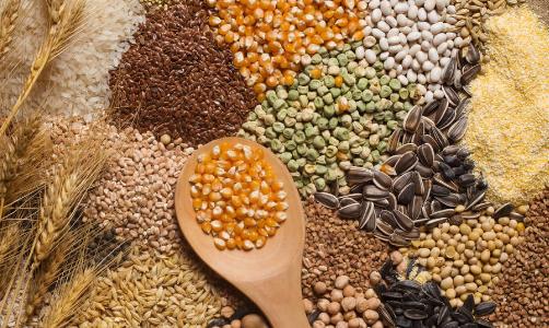 日常要少米白面 美味又健康的全谷物正确吃法