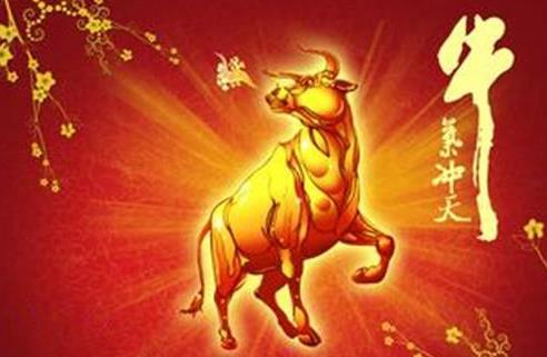 属牛的女性本命年佩戴朱砂好吗?属牛的人2021年要注意什么