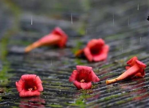 武汉梅雨季节持续多久?梅雨季节家里的东西都长毛了怎么办