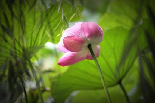2021梅雨季节怎样防止家里发霉?2021年武汉梅雨季节是几月份