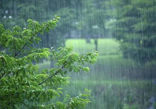 2021梅雨季节怎样防止家里发霉?2021年武汉梅雨季节是几月份