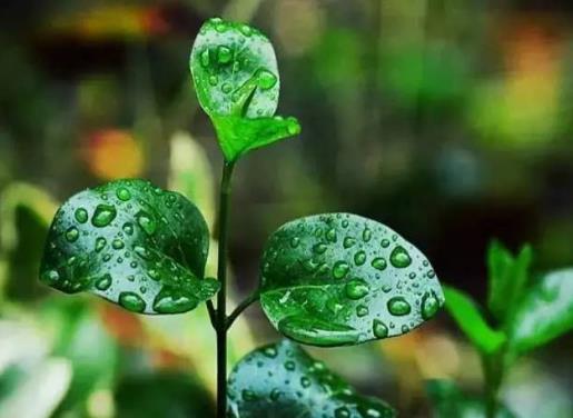 2021梅雨季节怎样防止家里发霉?2021年武汉梅雨季节是几月份