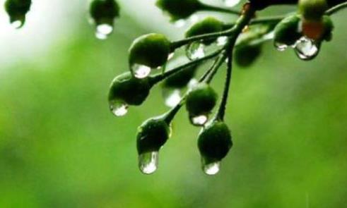 梅雨季节开窗会增加湿度吗?梅雨季节开窗会不会引起涂料发霉