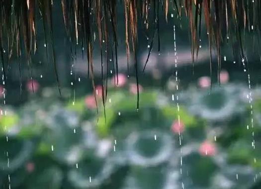 梅雨季节开窗户复合板会受潮吗?梅雨季节如何防潮