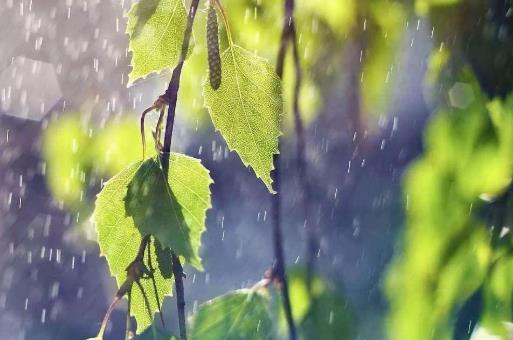 梅雨季节开窗户复合板会受潮吗?梅雨季节如何防潮