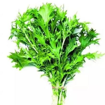 端午节挂的艾草能喝吗?不到端午门口能放艾草吗?