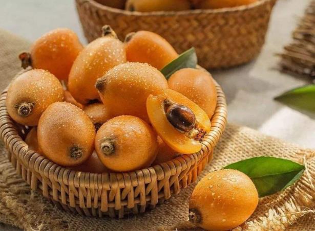 科学家用一辈子为枇杷改名是怎么回事?枇杷主要产自中国哪里