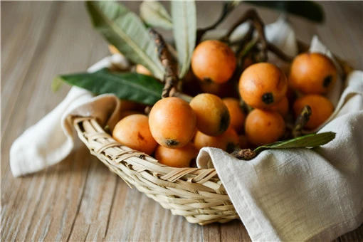 科学家用一辈子为枇杷改名是怎么回事?枇杷主要产自中国哪里