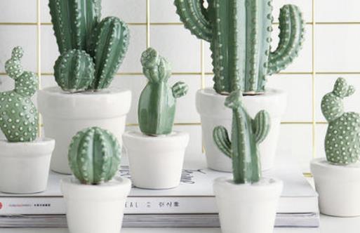 家里养什么植物好?哪些植物防辐射?