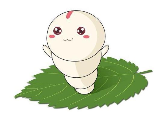 蚕宝宝太多会被压死吗?刚出生的蚕宝宝怎么养?