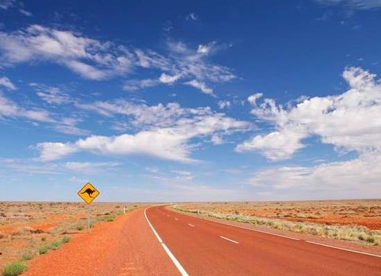 高考填报志愿选什么专业最吃香?一般高考口语考试能过吗