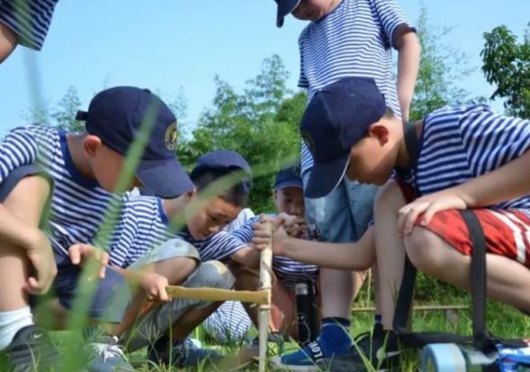 夏令营是什么?夏令营活动有哪些内容