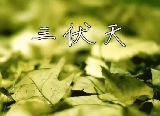 夏至三庚入伏是怎么计算的?2021年具体什么时候入伏什么时候出伏?