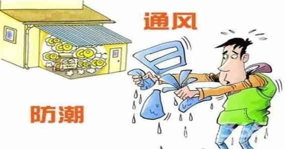 梅雨季节是什么时间,在什么节气之间,梅雨季节分布在哪些省