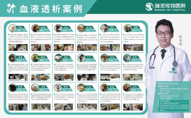 杭州瑞派虹泰,一家26年历史的靠谱杭州宠物医院收费是怎样的