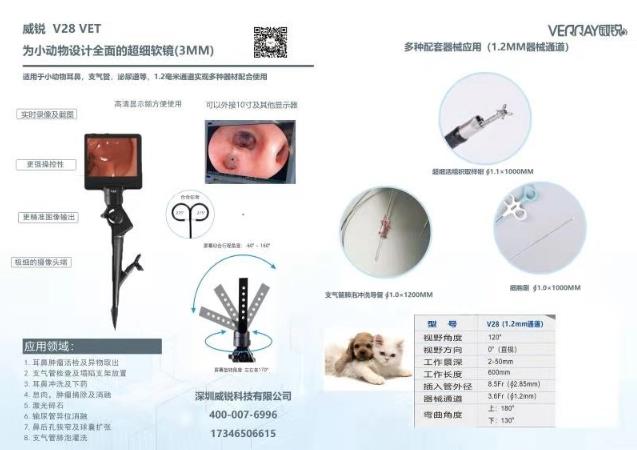 杭州瑞派虹泰,一家26年历史的靠谱杭州宠物医院收费是怎样的