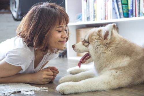 爱宠一族必看,家里放点什么有效驱虫?