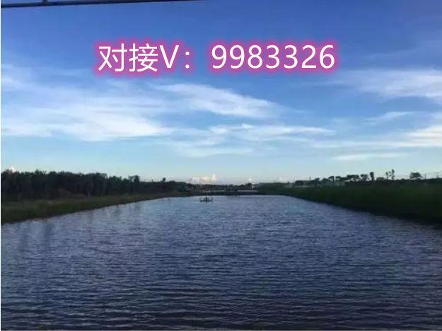哈哈生活怎么样,好做吗?
