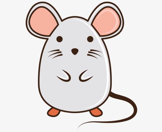 家中有老鼠有什么迹象?人睡着了老鼠会靠近吗?