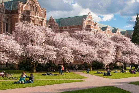 大学报到最晚可以晚几天?大学新生报到完可以出去吗?