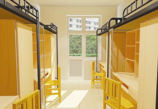 大学生宿舍可以养鱼吗?大学宿舍养乌龟要注意什么