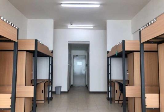 大学生宿舍可以养鱼吗?大学宿舍养乌龟要注意什么