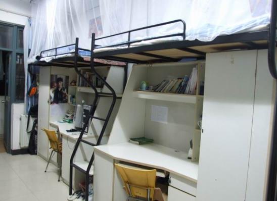 大学生宿舍可以养鱼吗?大学宿舍养乌龟要注意什么