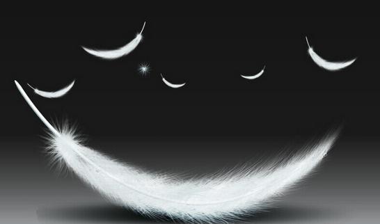 羽绒和羽绒棉应该怎么区分?