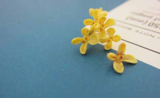 桂花的品种有哪些?