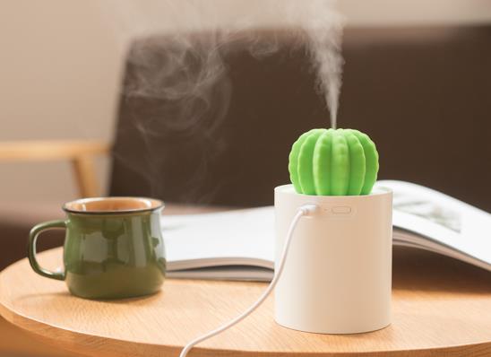 为什么越开加湿器喉咙越干?加湿器精油该滴在哪里?