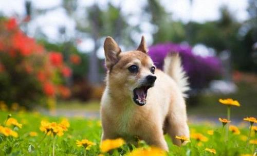 什么性格的人容易患精神症