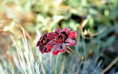 女人低情商怎么办？女人情商低表现在哪些方面