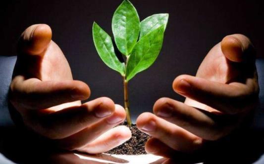 如何克服恋爱中的不安全感?为什么会没有安全感