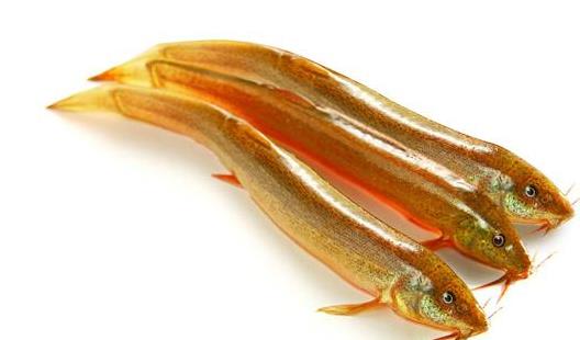 男性的食疗偏方推荐