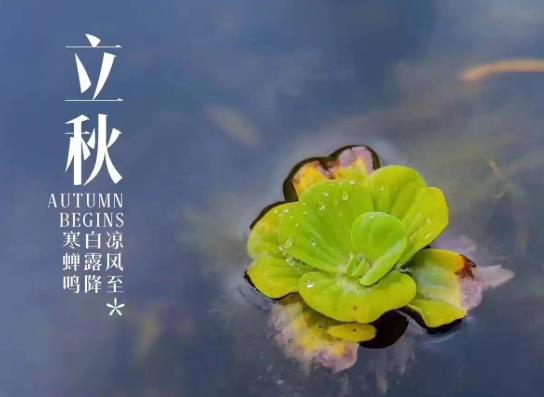 东北立秋后天气还潮湿吗?东北2021立秋后天气还热多久?