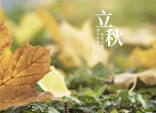 立秋后天气有什么变化?广东几月开始就不热了?